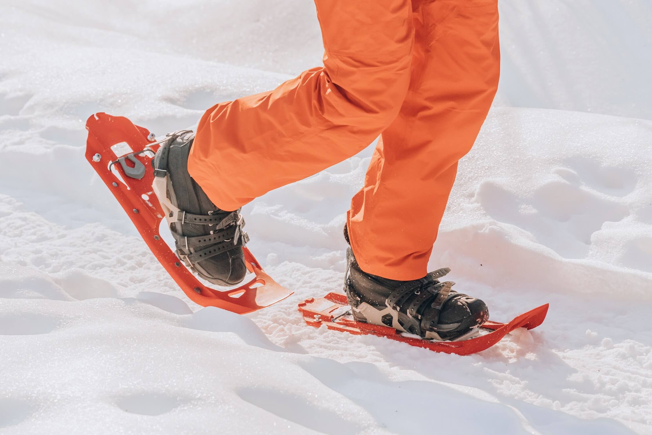 Find The Best Places For Snowshoeing Near Taos, New Mexico, In Winter